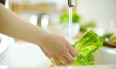 Rửa rau thế nào để loại được ký sinh trùng?